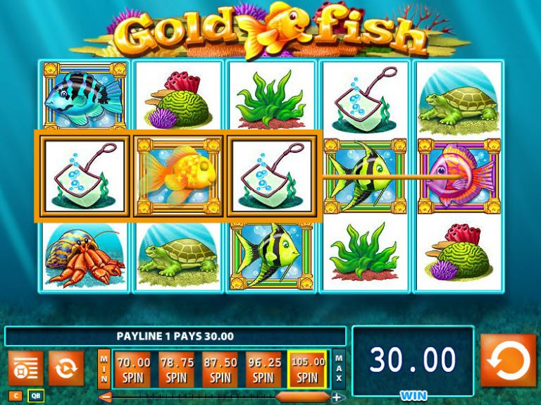gold fish slot machine game