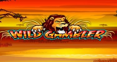 Go wild on safari slot machine