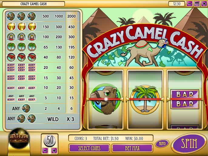 Cash & Camels slot